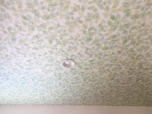壁紙天井